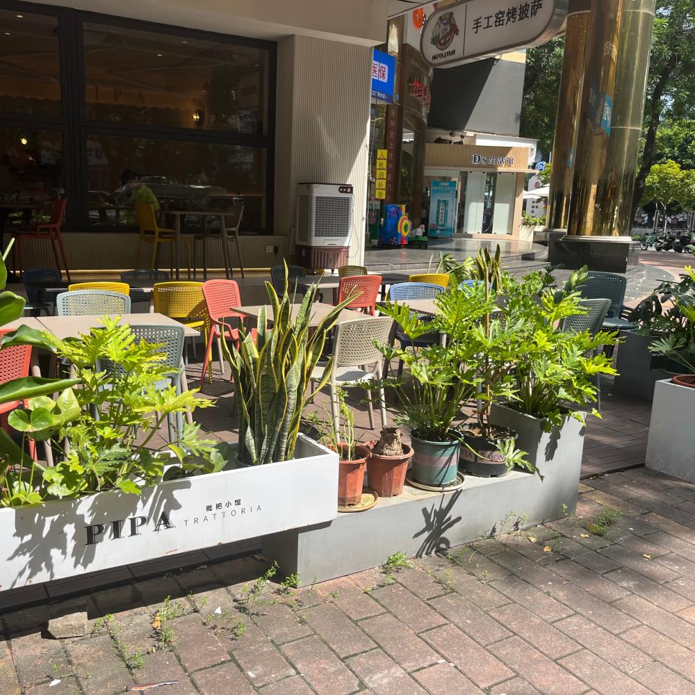 PIPA TRATTORIA