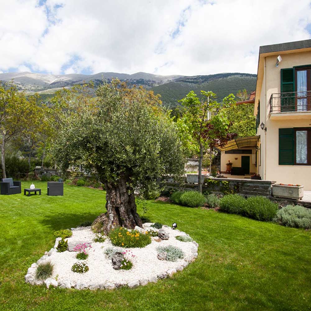 B&B “Al Colle”